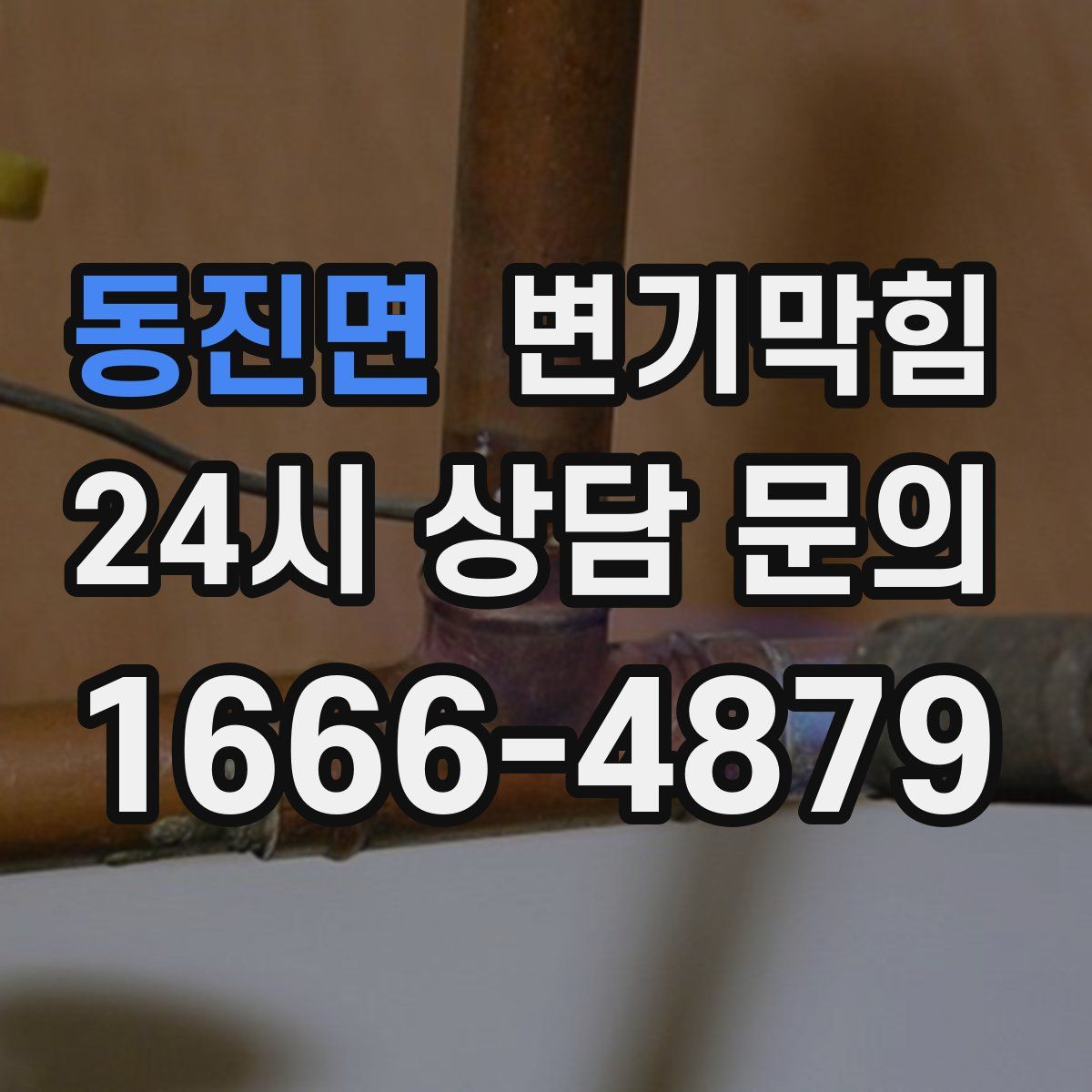 동진면 변기막힘