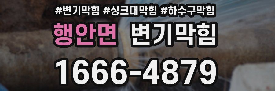 변기막힘