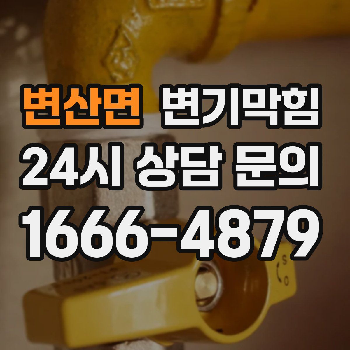 변산면 변기막힘
