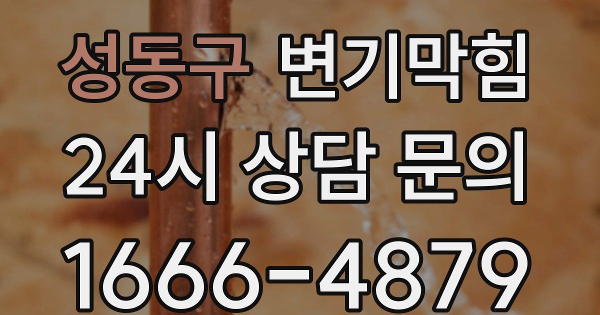 성동구 변기