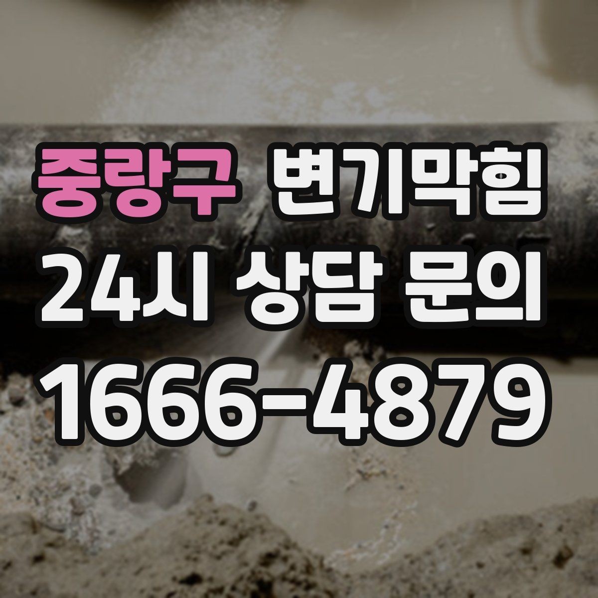 중랑구 변기막힘 뚫어뻥 소독과 건조 보관 방법