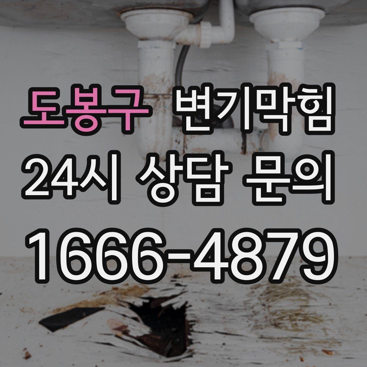 도봉구 변기막힘 사무실 배수구막힘 점심 전 복구