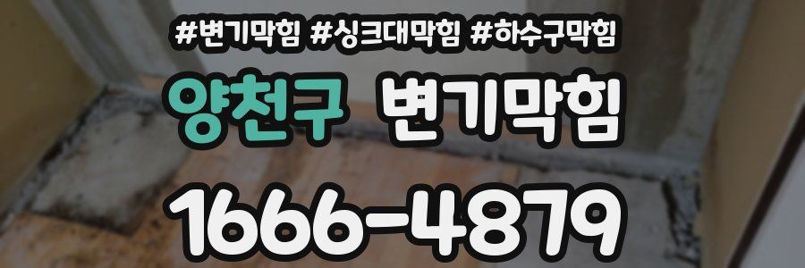 변기막힘