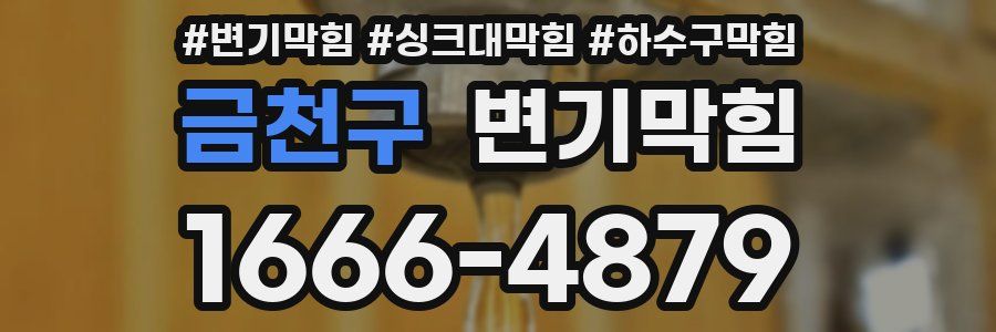 변기막힘