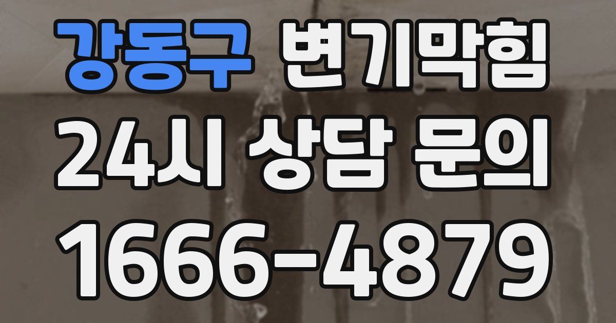 강동구 변기