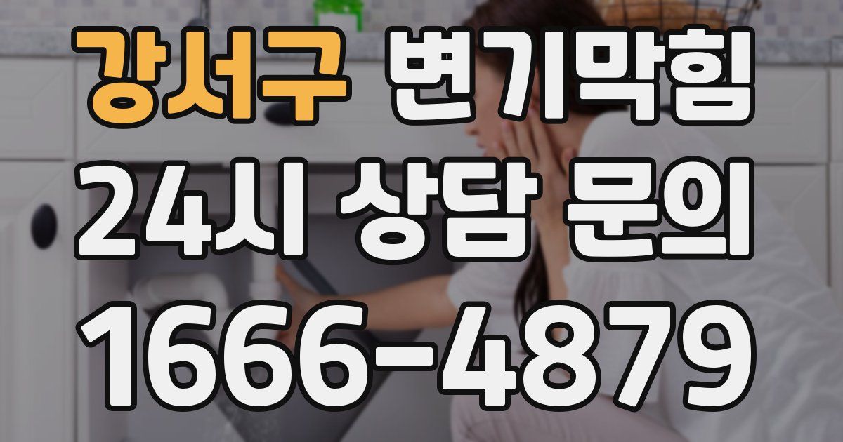 강서구 변기