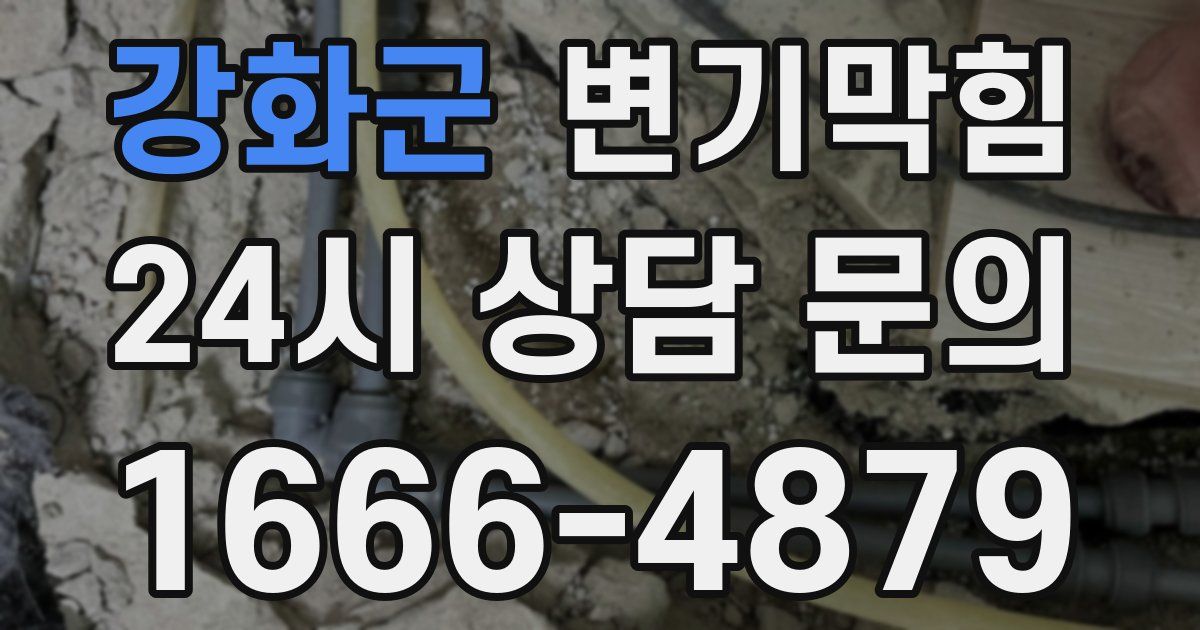 강화군 변기