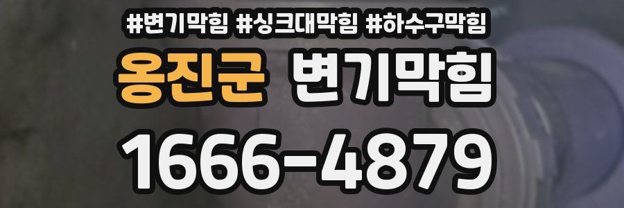 변기막힘