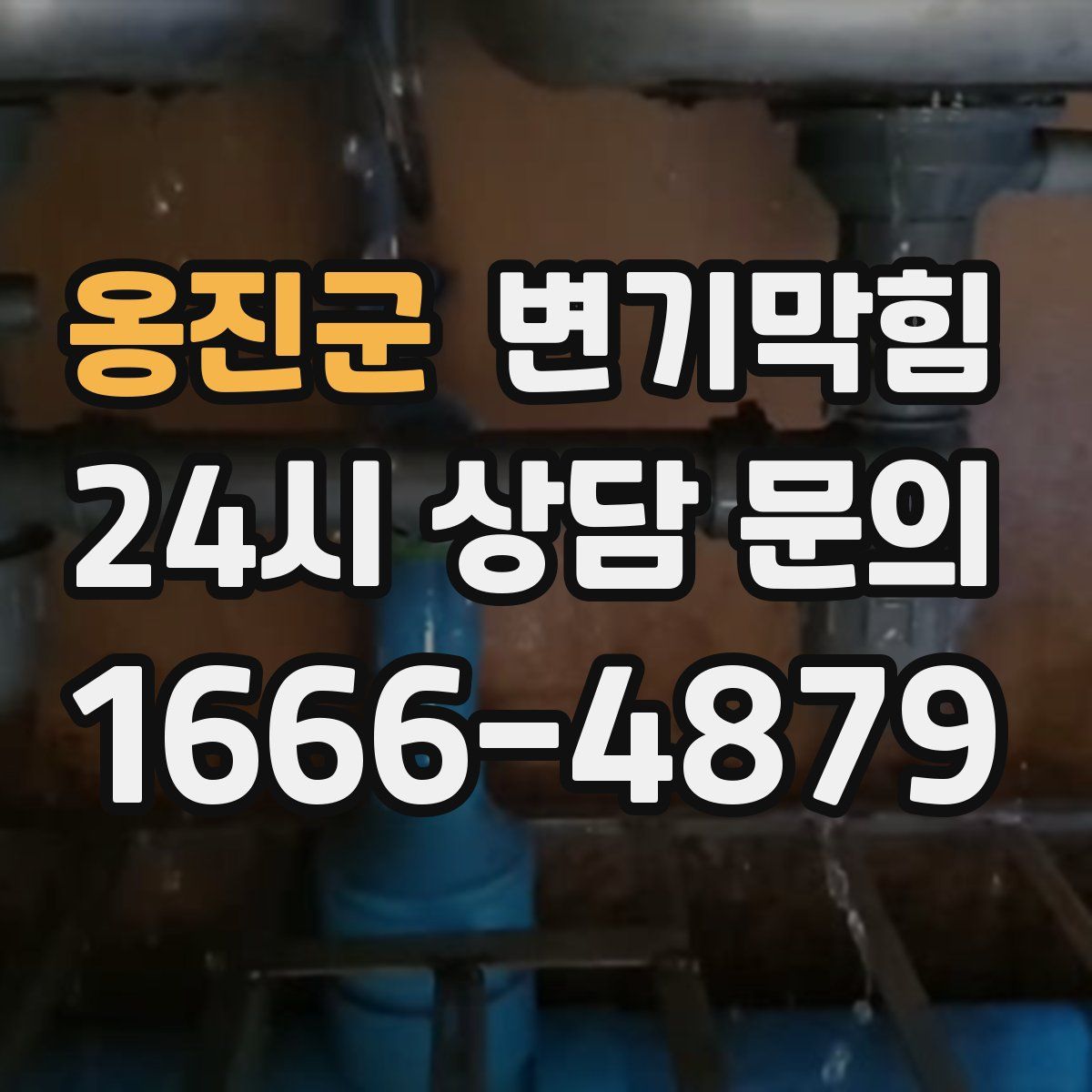 옹진군 변기막힘