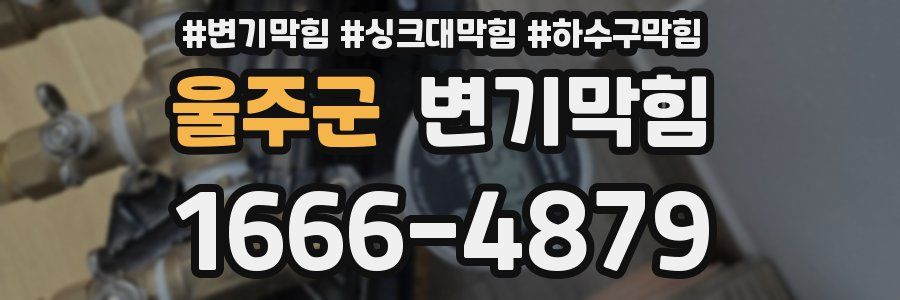 변기막힘