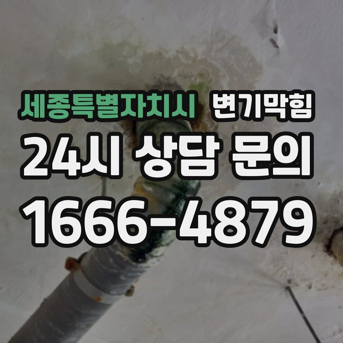 세종특별자치시 변기막힘 아파트 화장실막힘 동시 점검