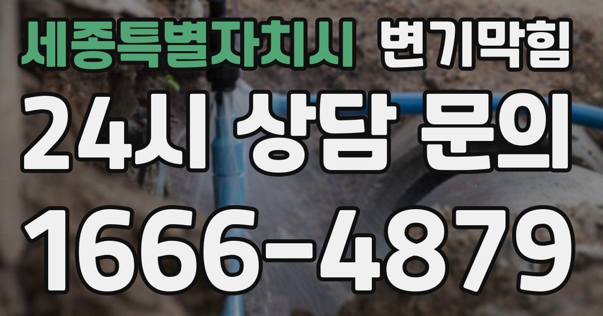 세종특별자치시 변기