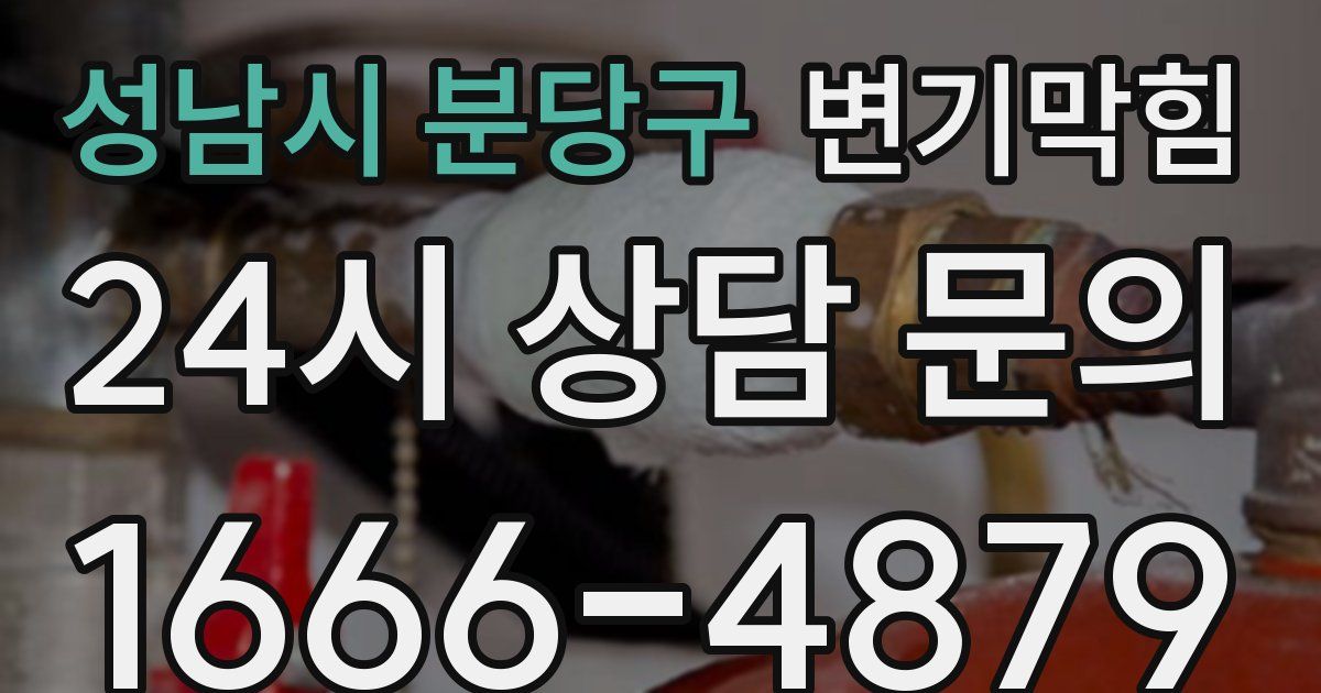 성남시 분당구 변기
