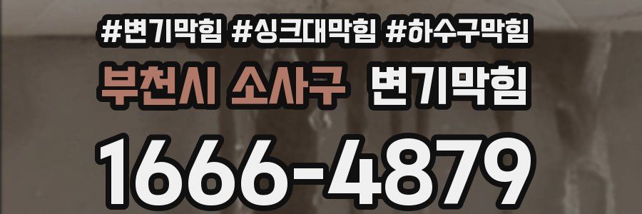 변기막힘