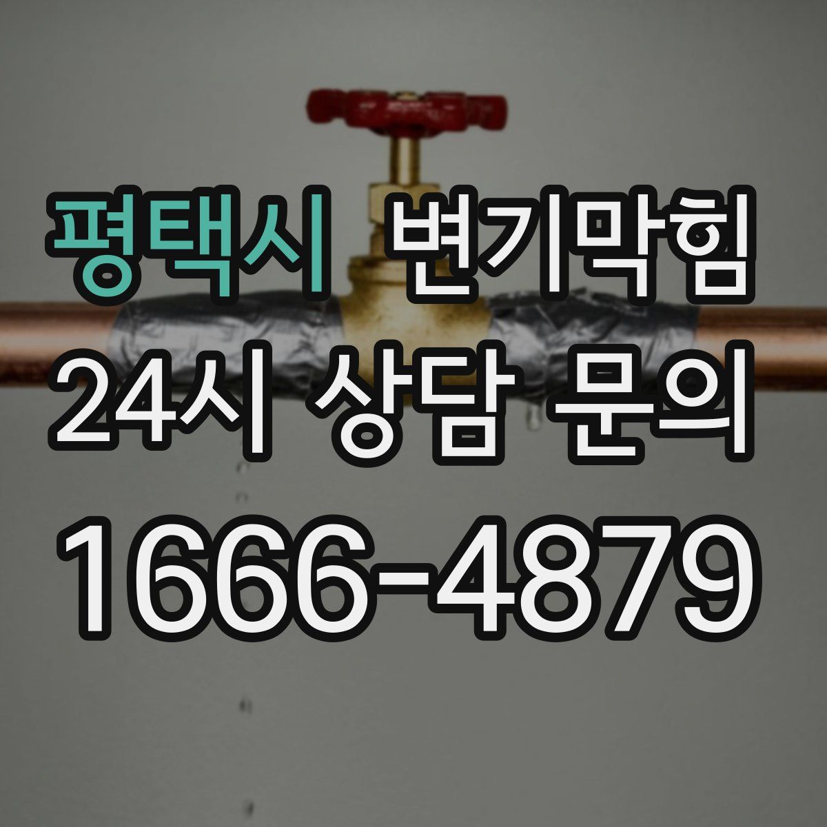 평택시 변기막힘