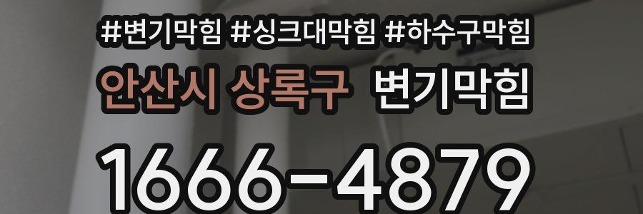 변기막힘