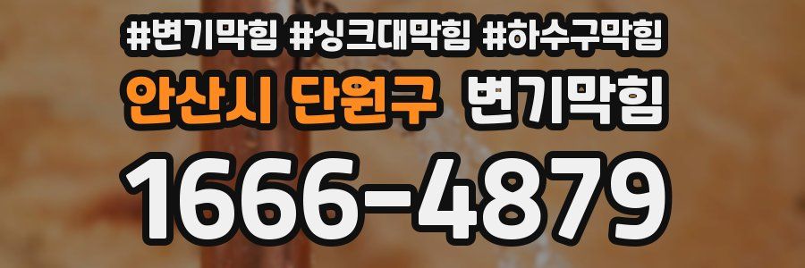 변기막힘