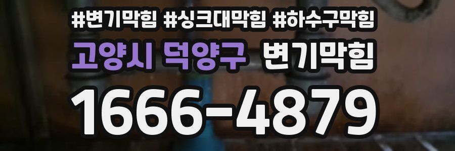 변기막힘