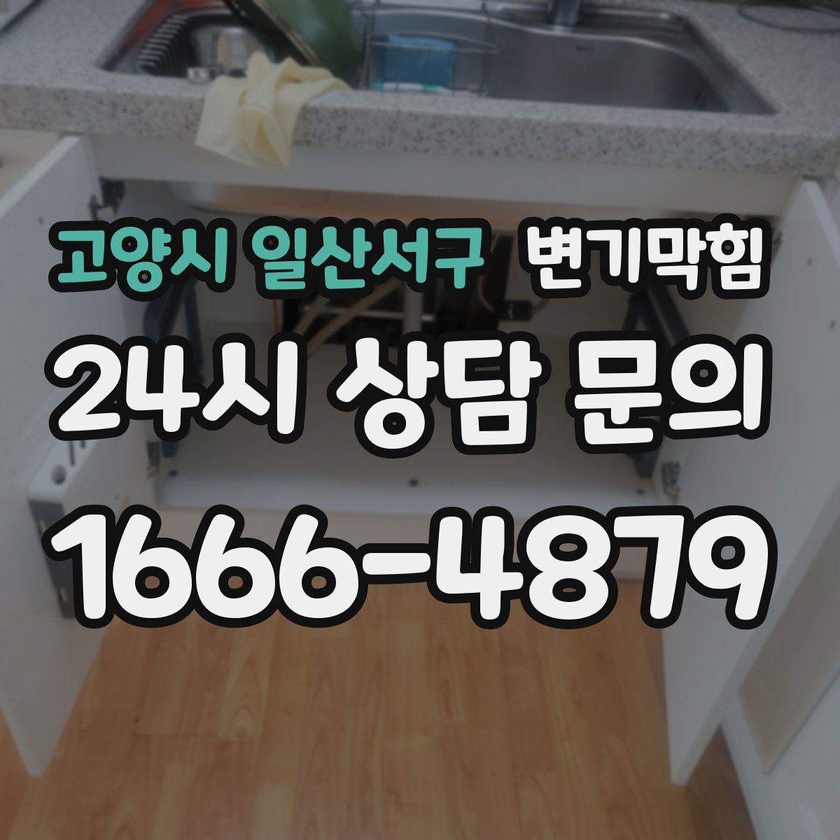 고양시 일산서구 변기막힘