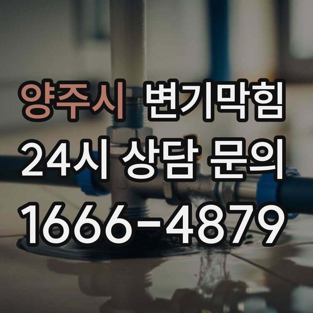 양주시 변기막힘 변기가막혔을때 면봉·기저귀 대처