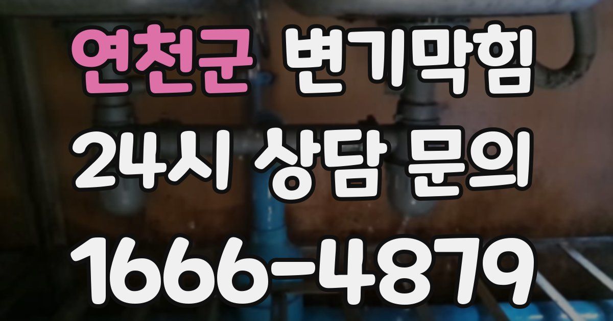 연천군 변기