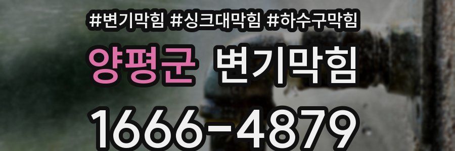 변기막힘