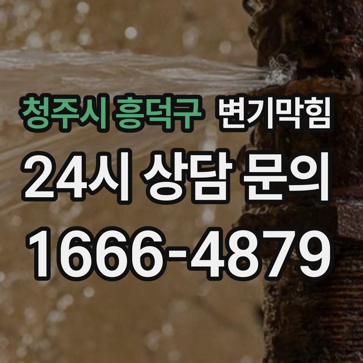청주시 흥덕구 변기막힘