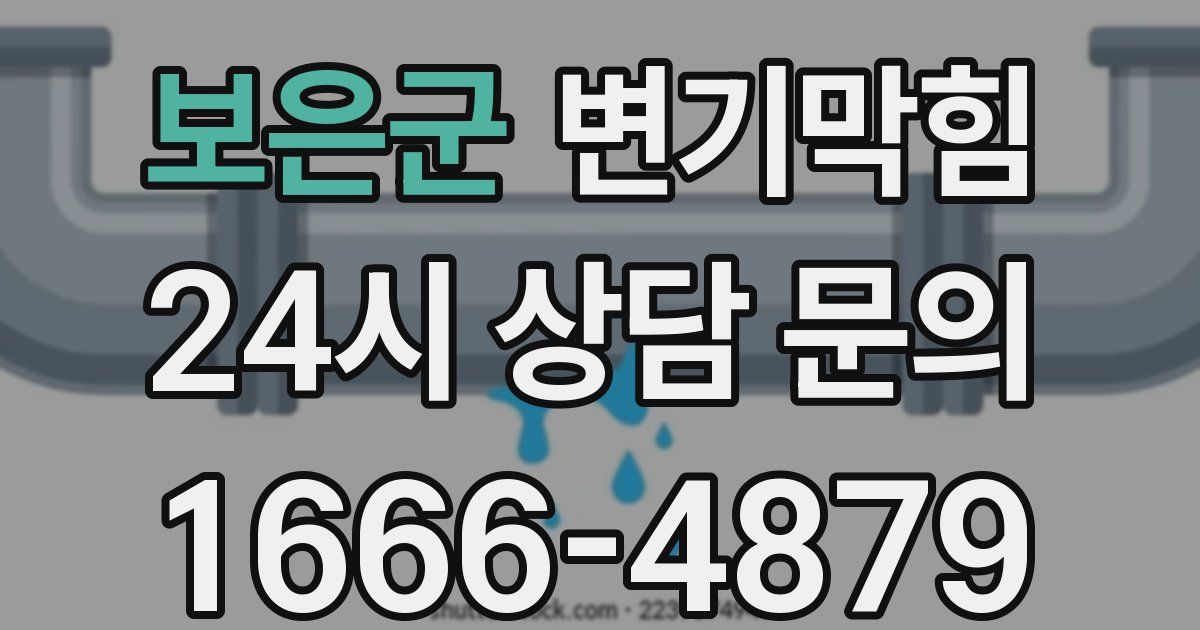 보은군 변기
