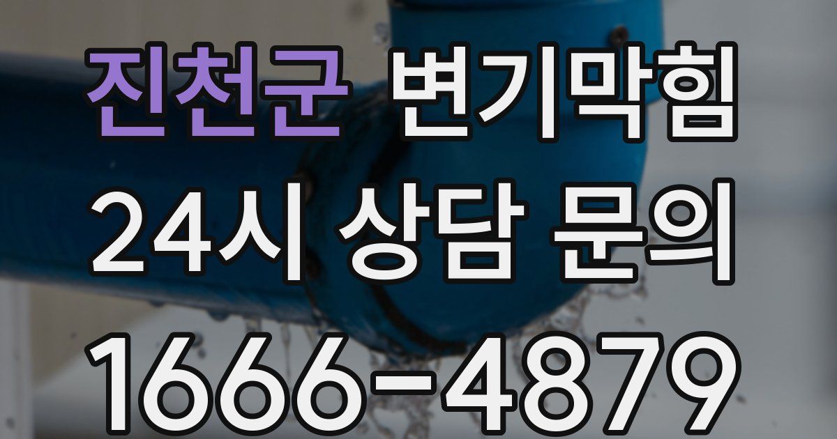 진천군 변기