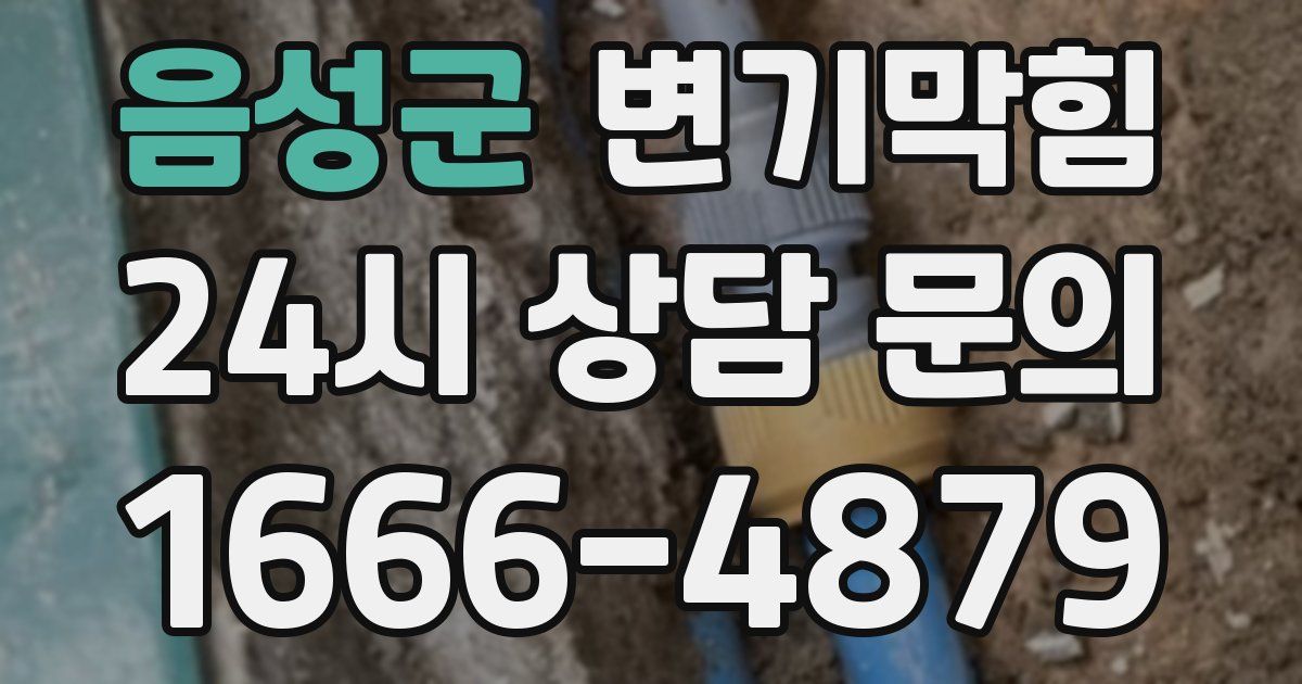 음성군 변기