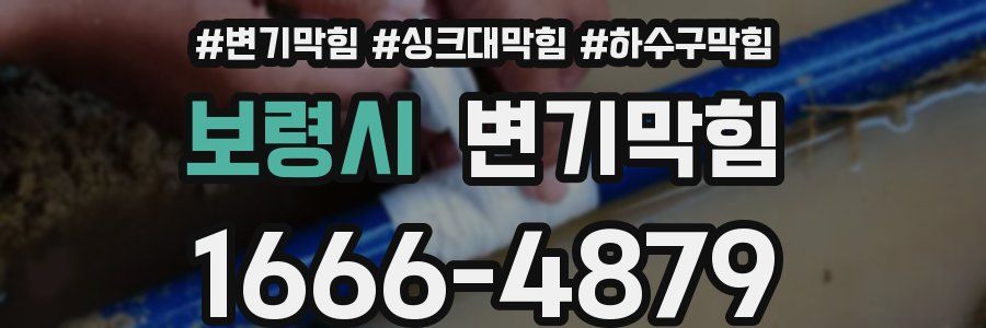변기막힘