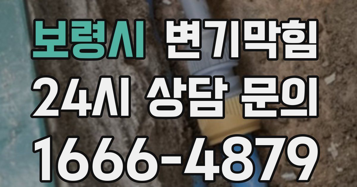 보령시 변기
