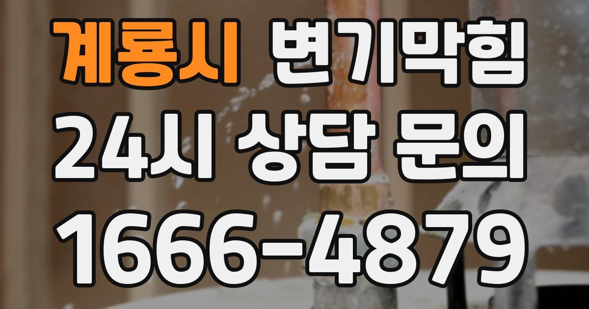 계룡시 변기