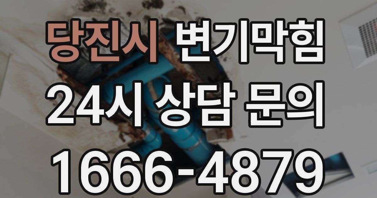 당진시 변기