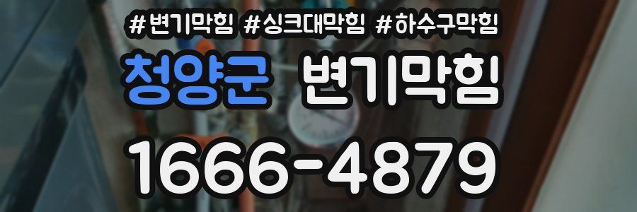 변기막힘