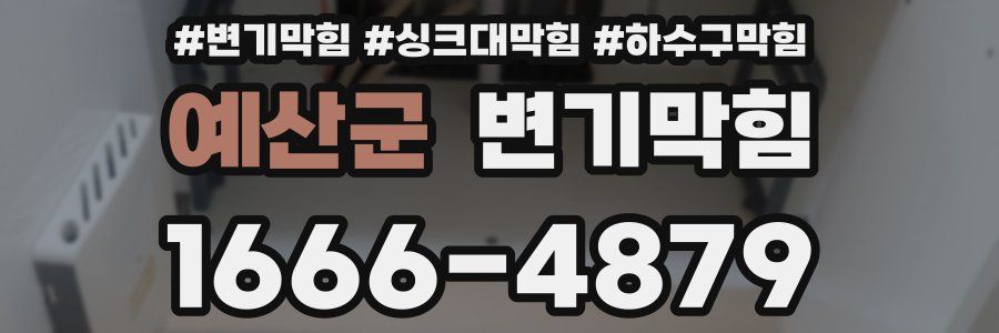 변기막힘