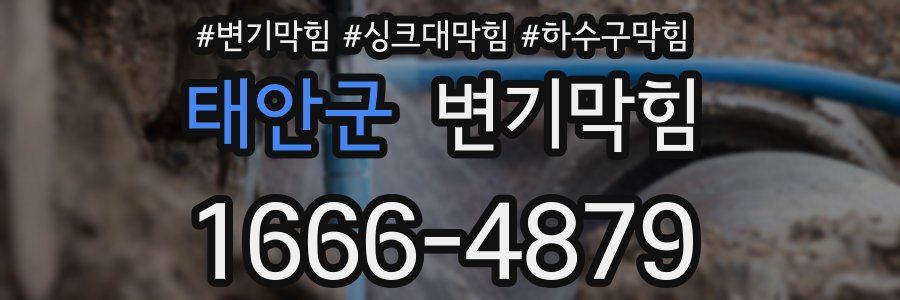 변기막힘