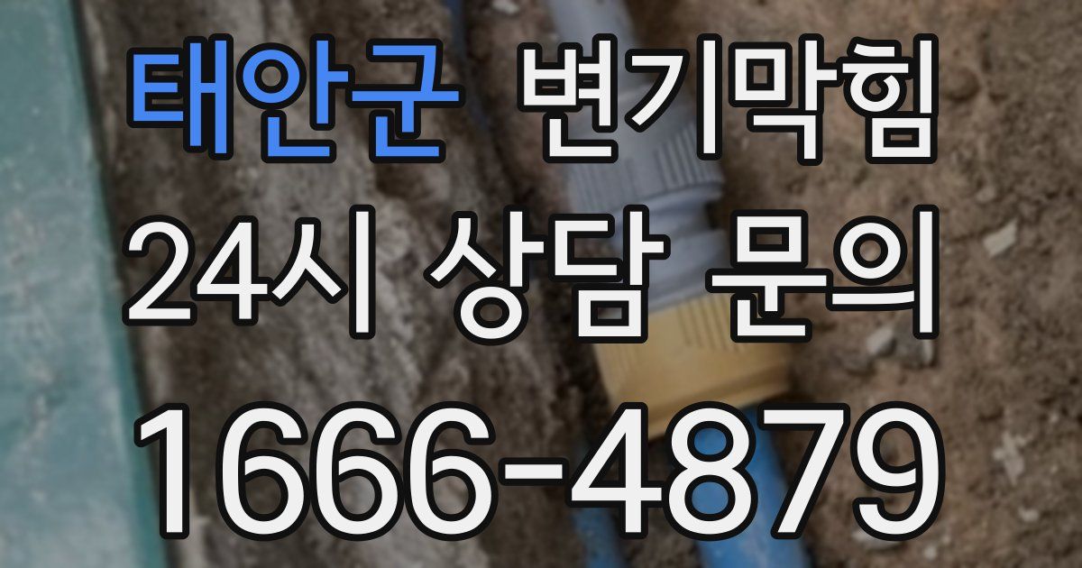 태안군 변기