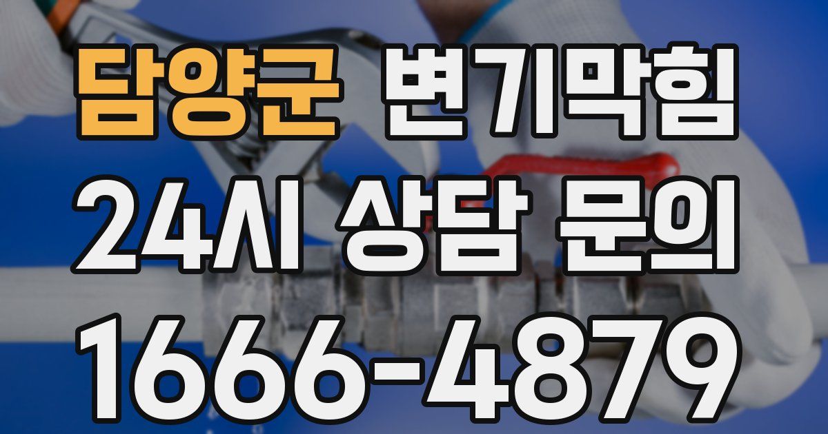 담양군 변기