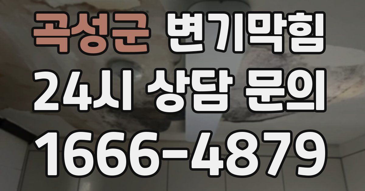 곡성군 변기