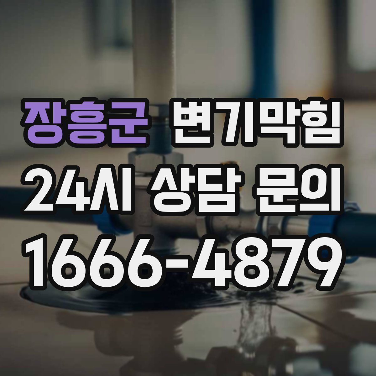 장흥군 변기막힘