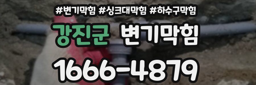 변기막힘