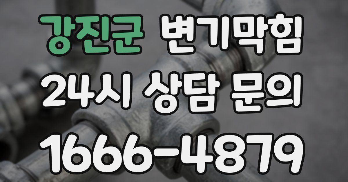 강진군 변기