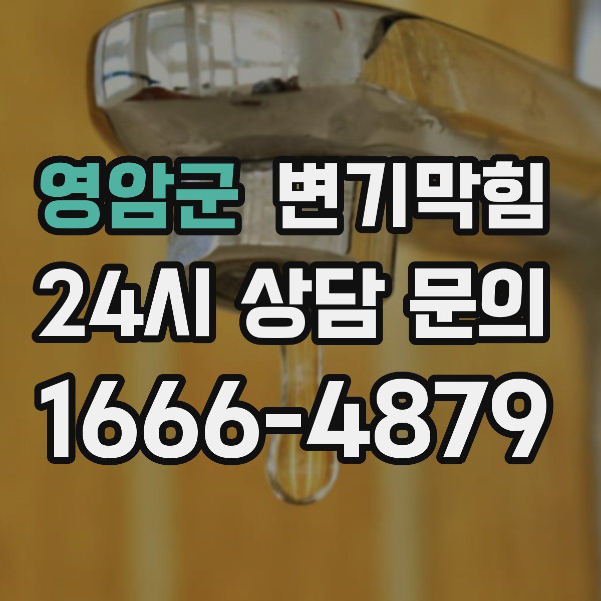 영암군 변기막힘