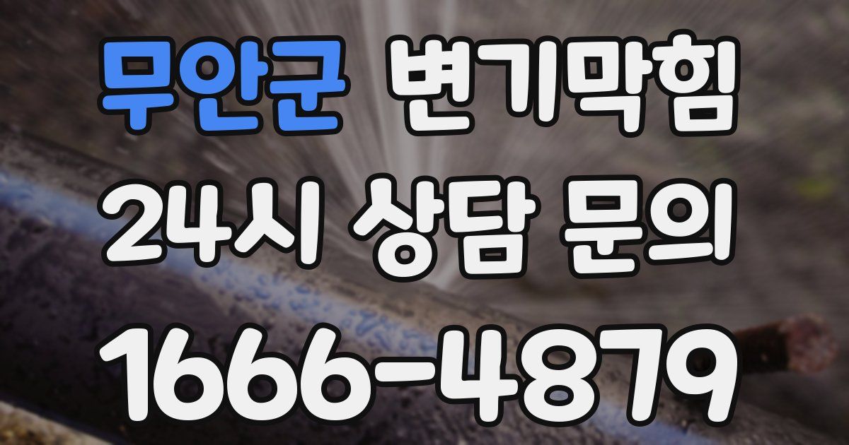 무안군 변기