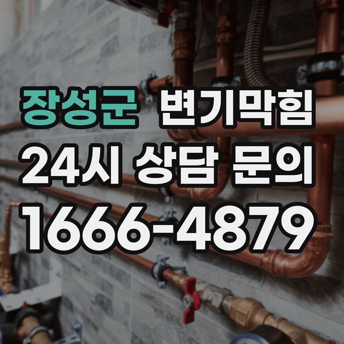 장성군 변기막힘