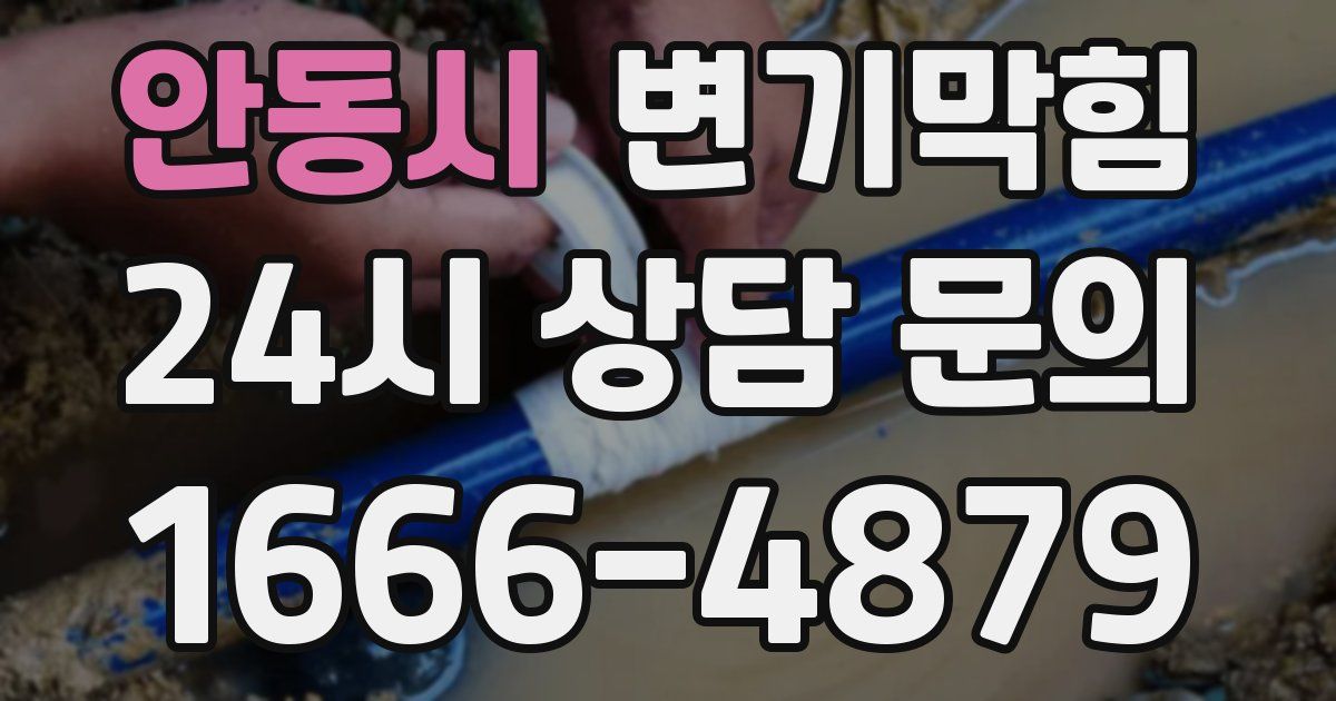안동시 변기