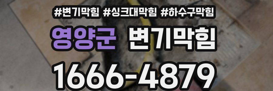 변기막힘