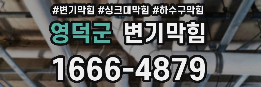변기막힘