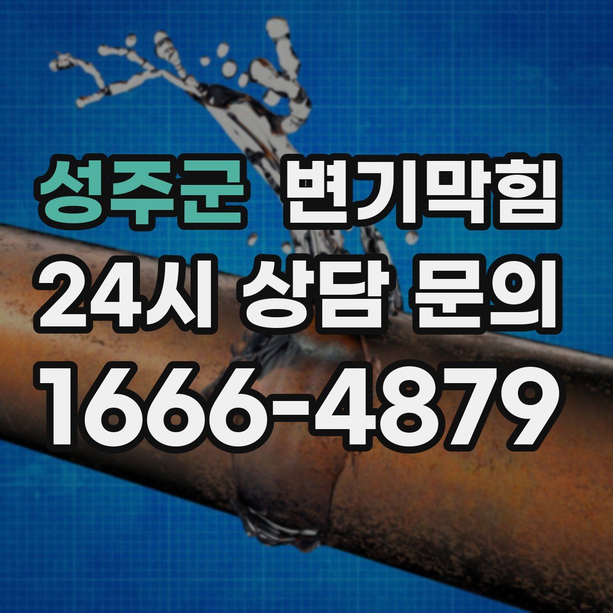 성주군 변기막힘